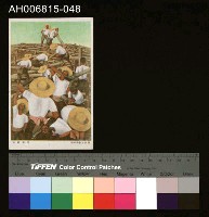 藏品(中國風景風俗繪畫明信片)的圖片